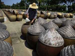 大豆精粹酿就赤咸酱料：探寻食契秘辛中的咸味之源及其获取地点