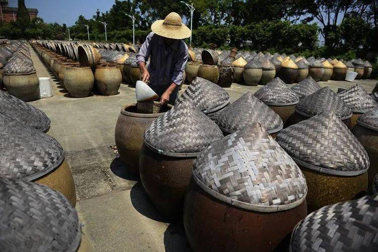 大豆精粹酿就赤咸酱料：探寻食契秘辛中的咸味之源及其获取地点